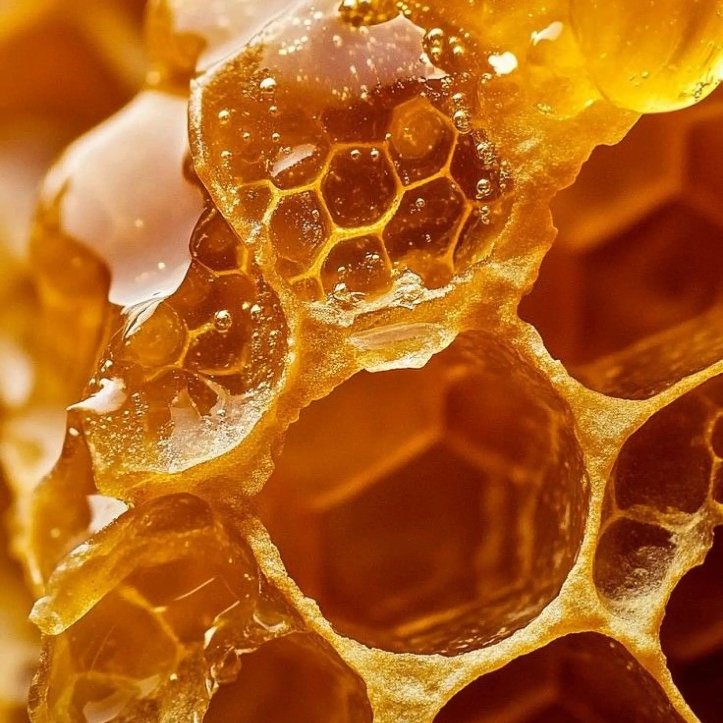 Daily Curl Conditioner