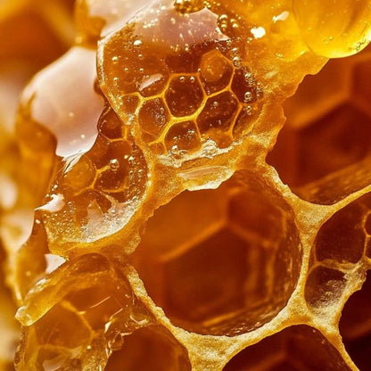 Daily Curl Conditioner