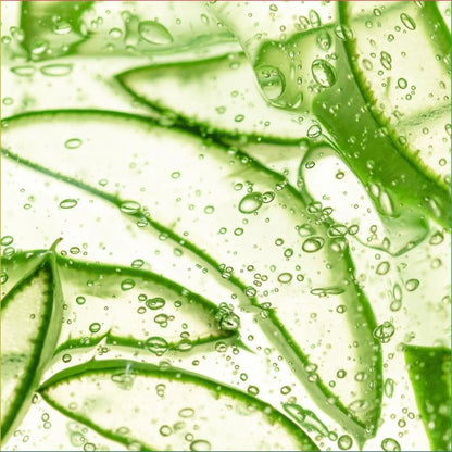 Daily Repair Shampoo