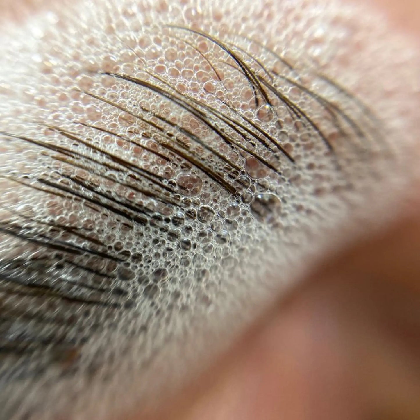 Brow Soap