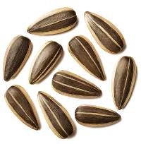 Sunflower-seed