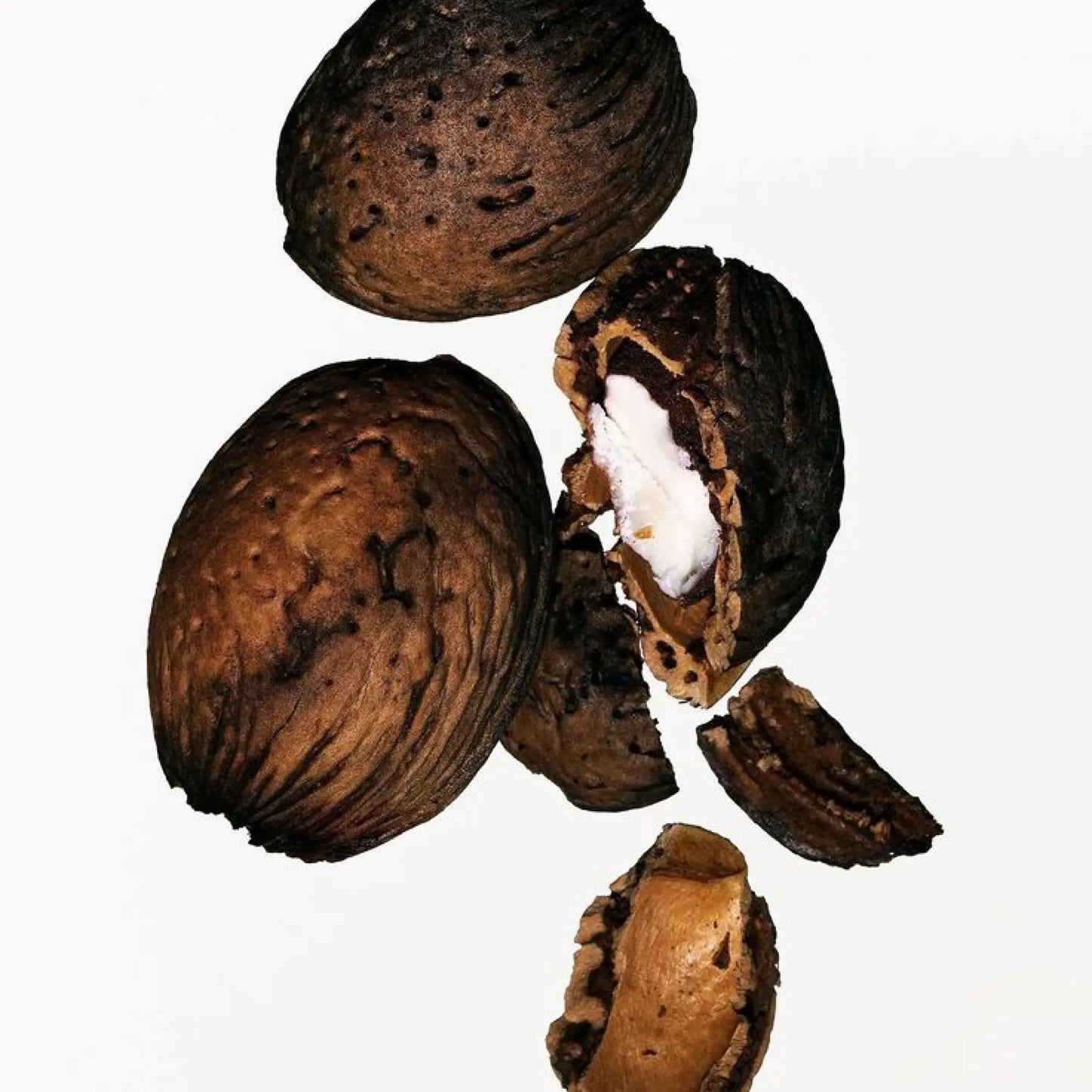 Hyaluronic Moisturizer