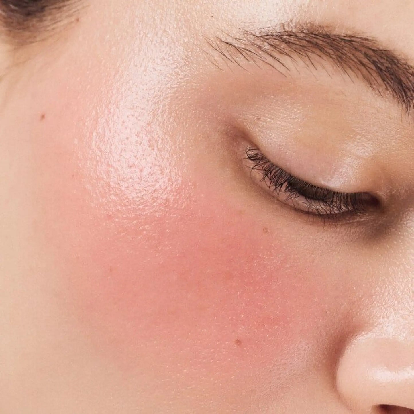 Blush Palette