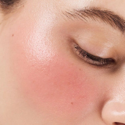Blush Palette