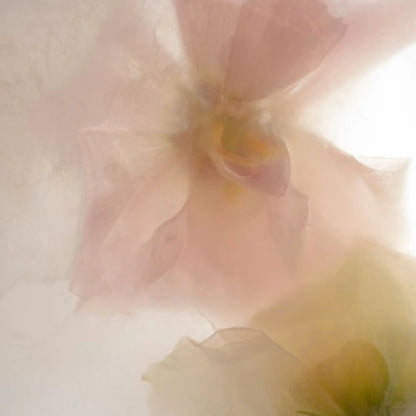 Lip and Eye Makeup Remover