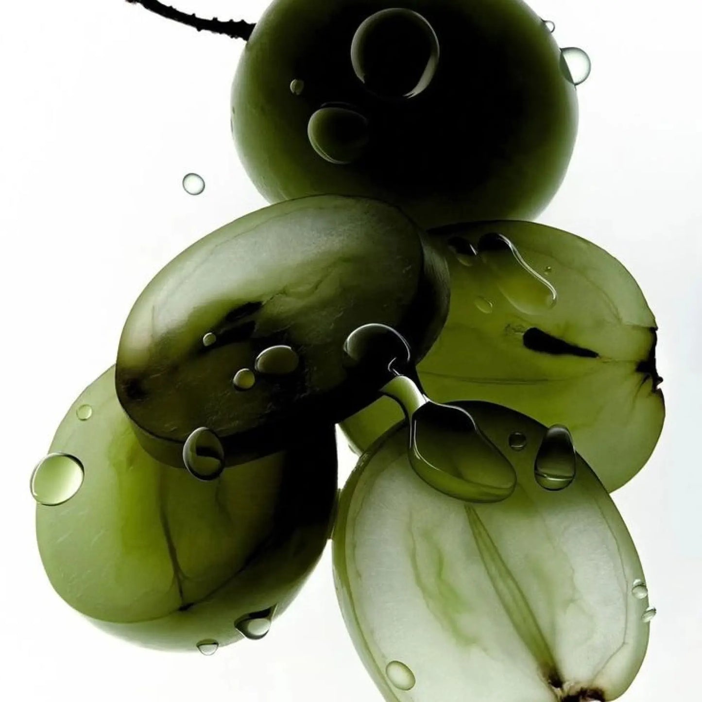 Nourish Hand Cream
