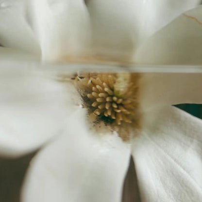 Oil Control Setting Spray