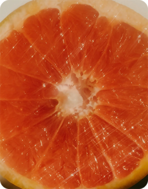 Grapefruit closeup