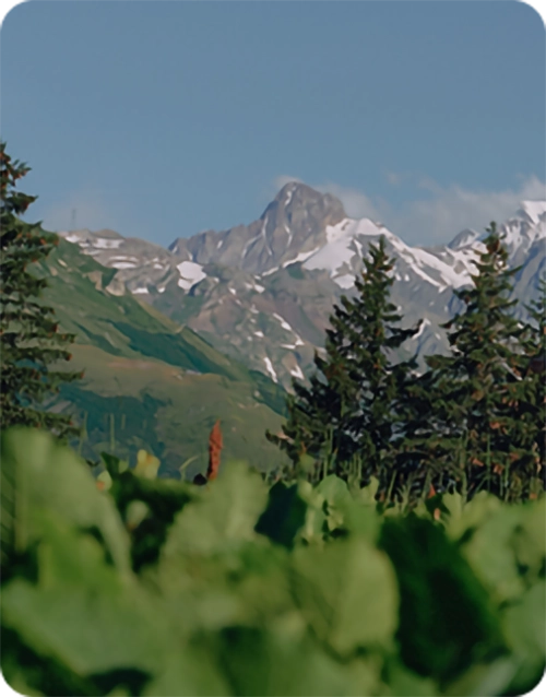 Mountains and valley in North America