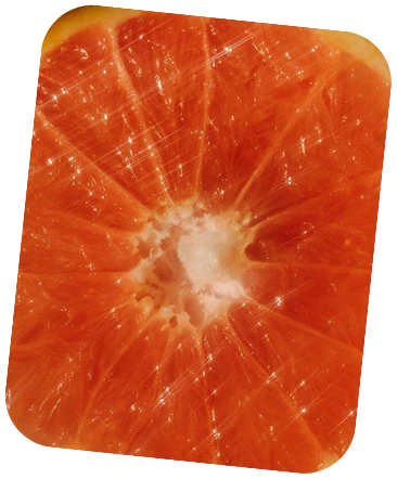 Close-up of a sliced grapefruit with a white center on a white background